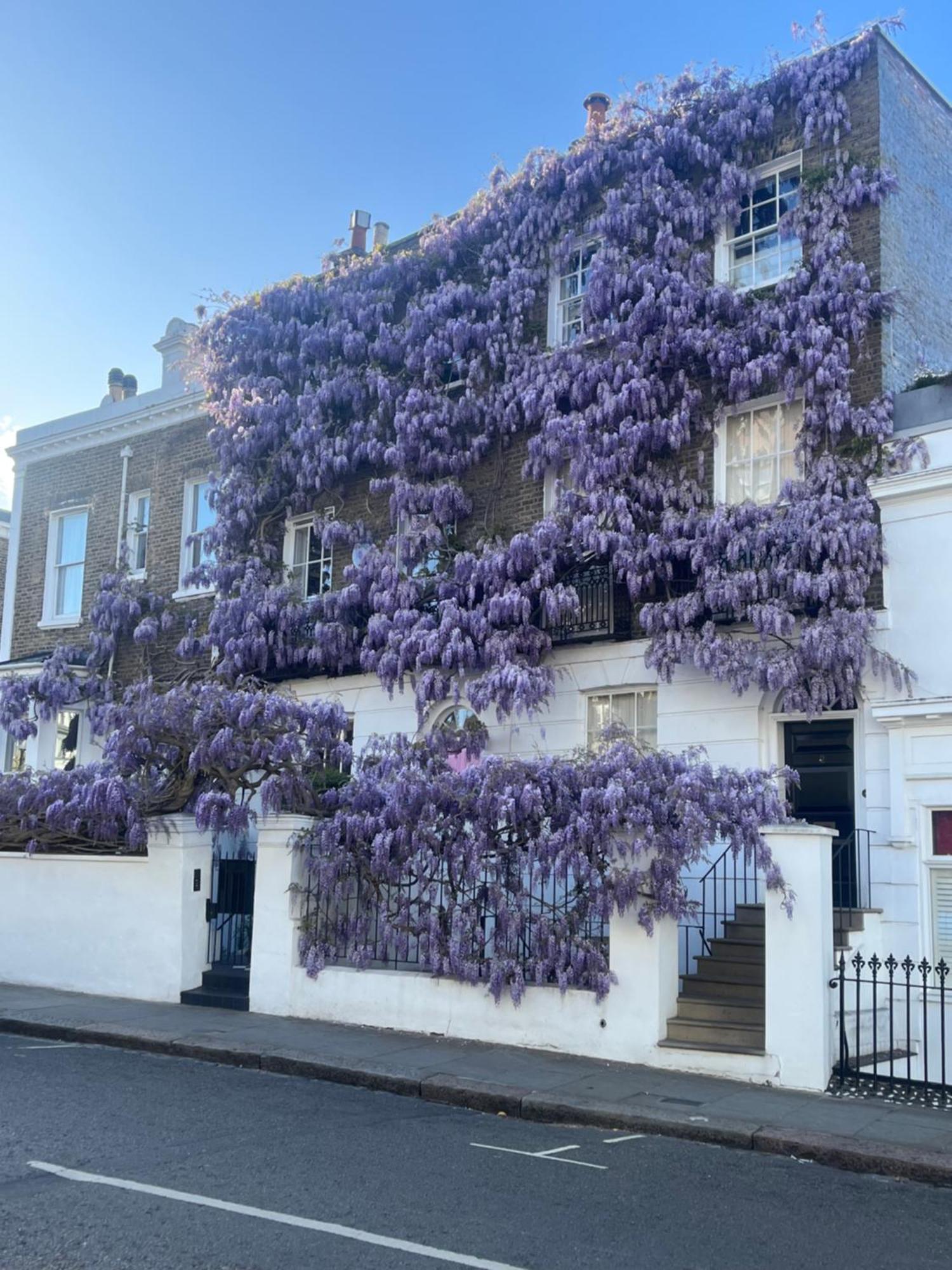 Appartement Newly Refurbished- Awesome Very Central Flat In Famous Notting Hill With A Balcony