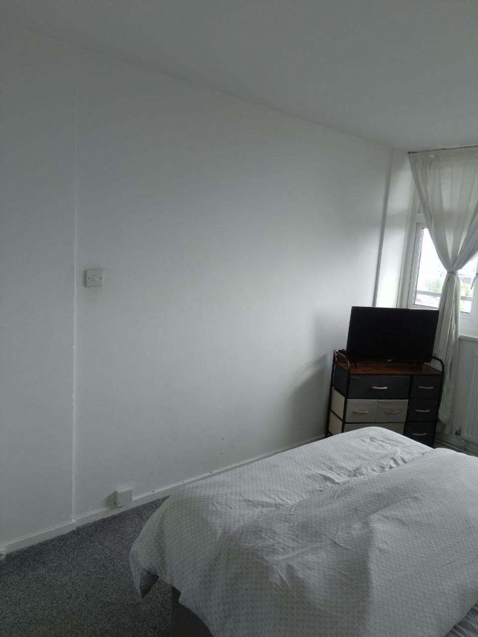 Double In A Cosy Flat In Tooting Homestay *