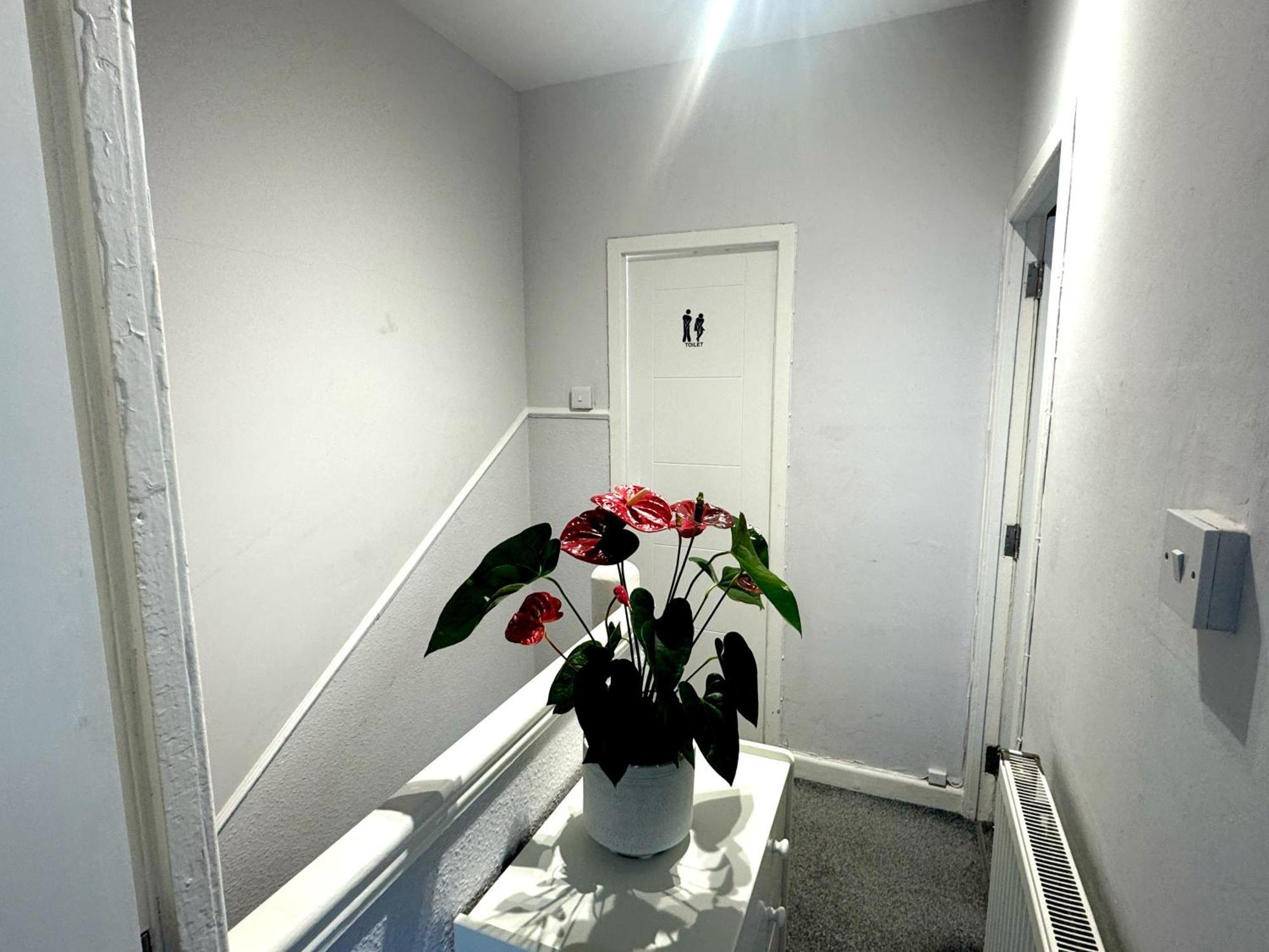Brixton Hill Retreat Modern And Cosy Homestay London