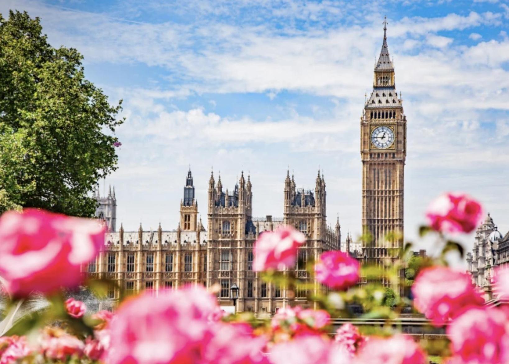 Apartment Homey Flat In Heart Of London