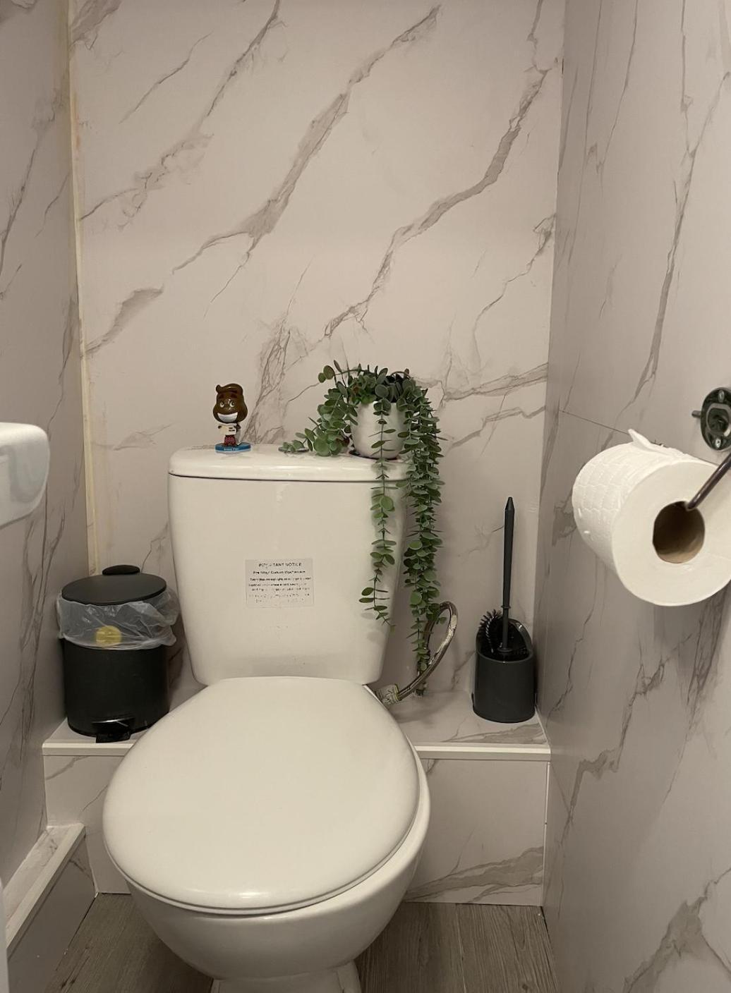 Apartment Homey Flat In Heart Of