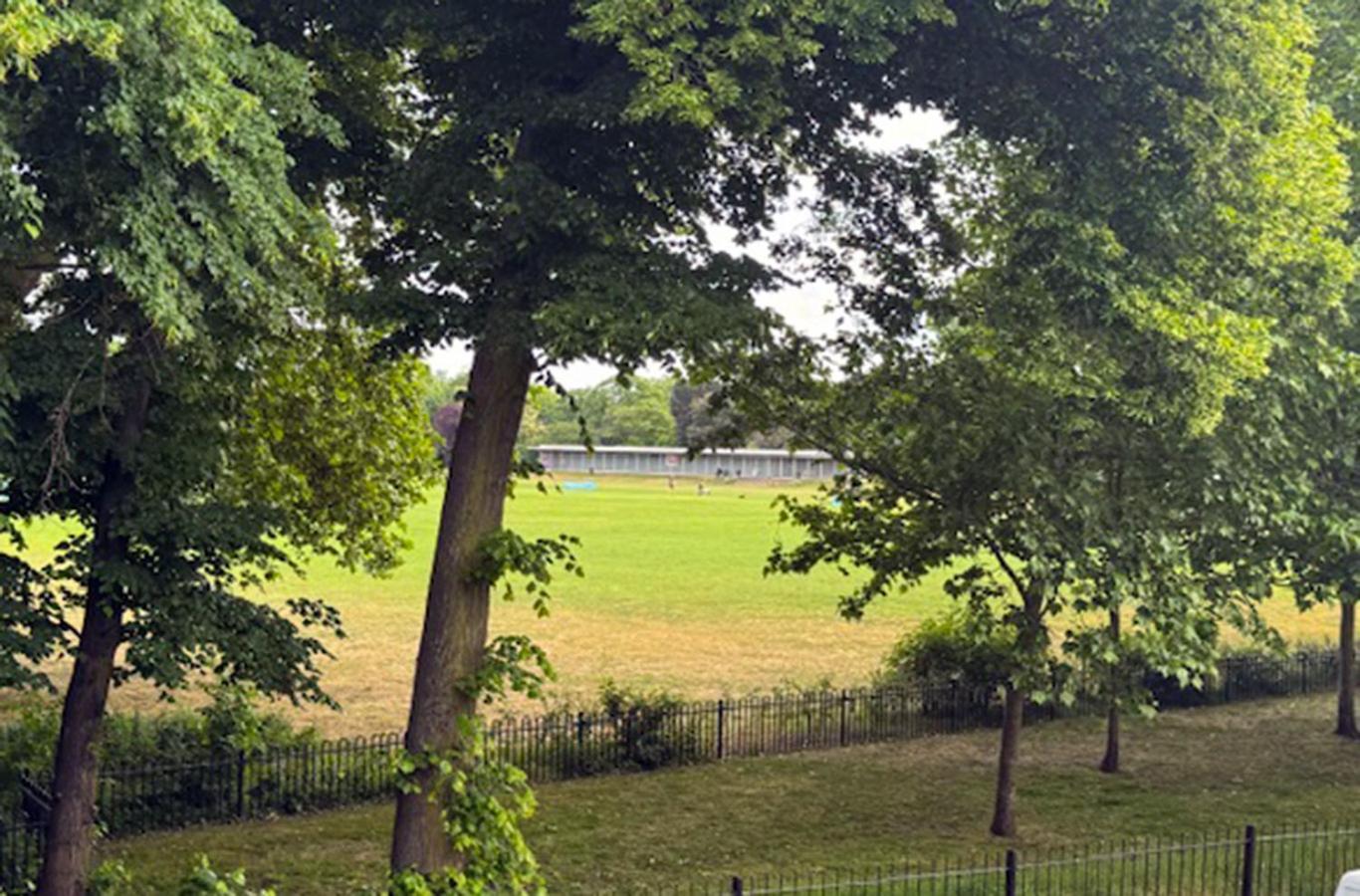 Glorious View Over The Park