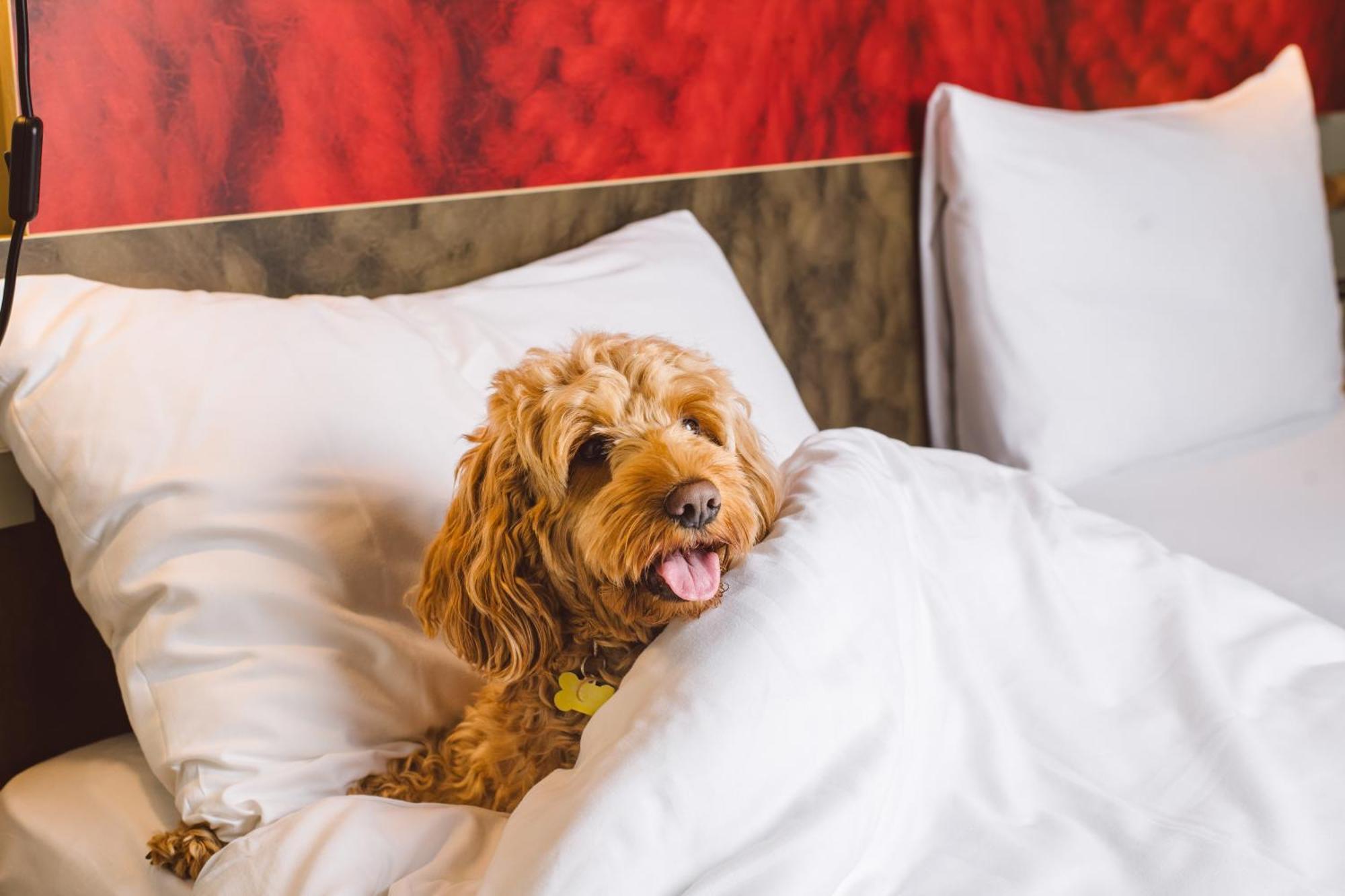 Ibis Excel-docklands London
