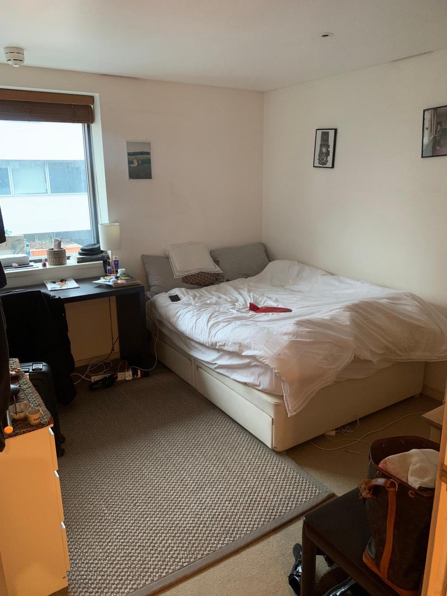 Modern 3 Bedroom In Paddington