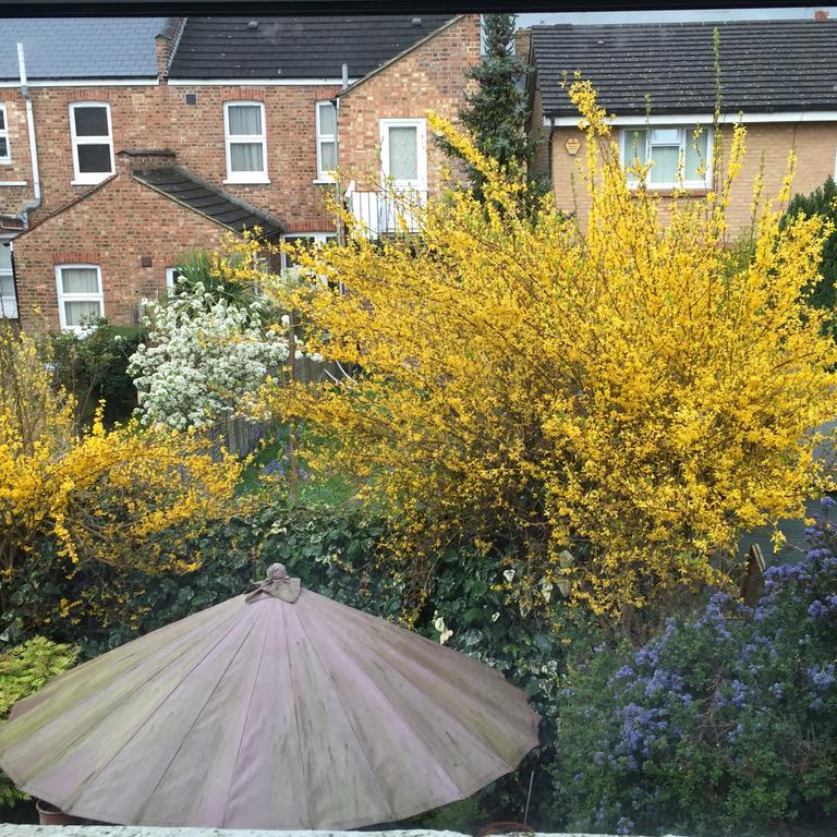 Catford Homestay Séjour chez l'habitant *