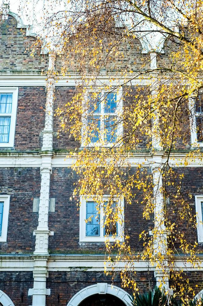 Yha Holland Park