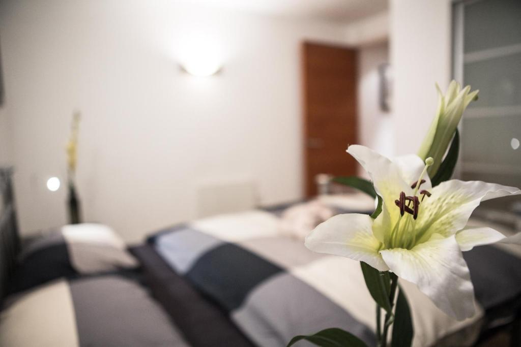 New Appartement Londres