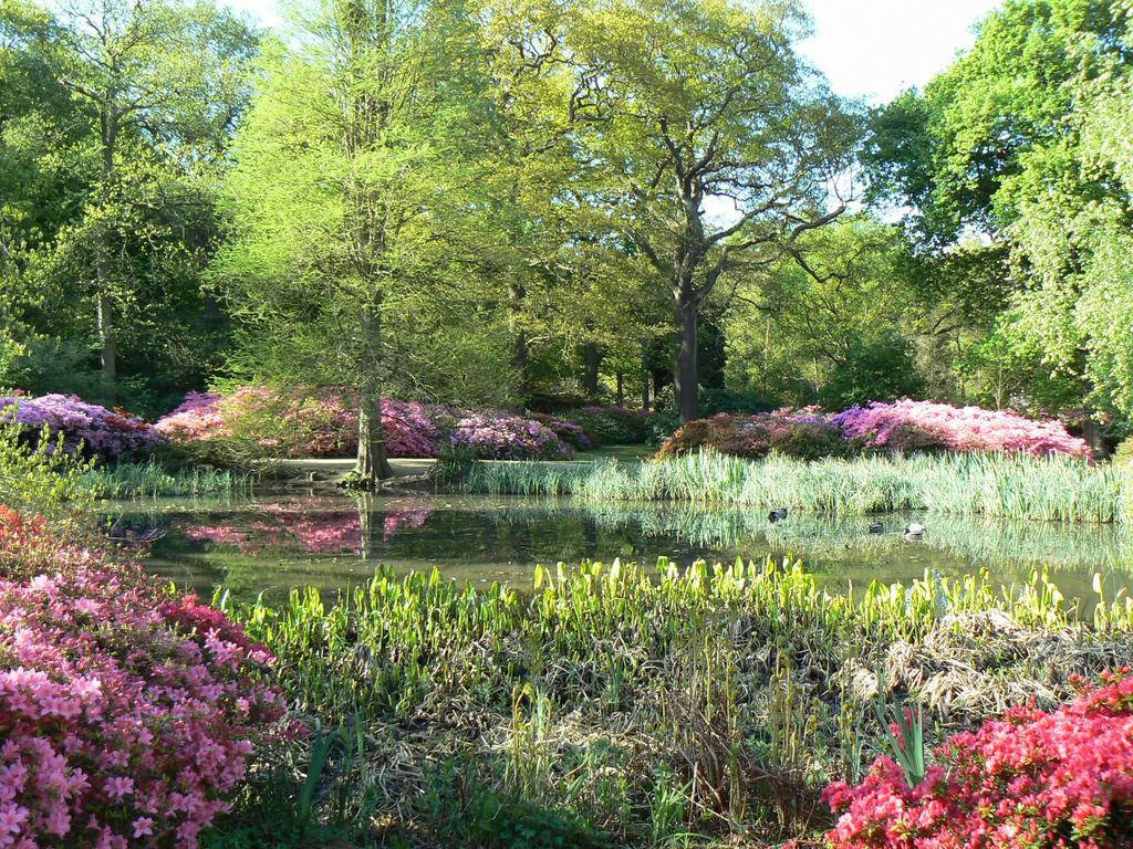 Casa de hóspedes Londonhomegardens Londres
