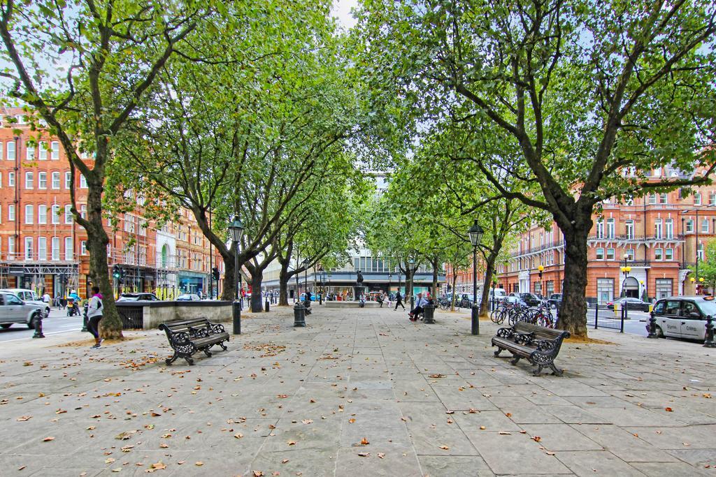 Lifestyle - Belgravia - Style Londres