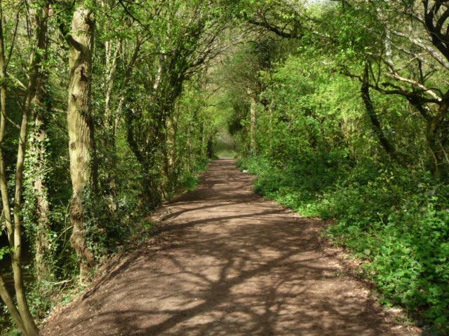 Forest Londres