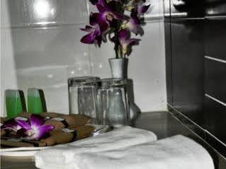 Hostal The Phoenix Paddington *
