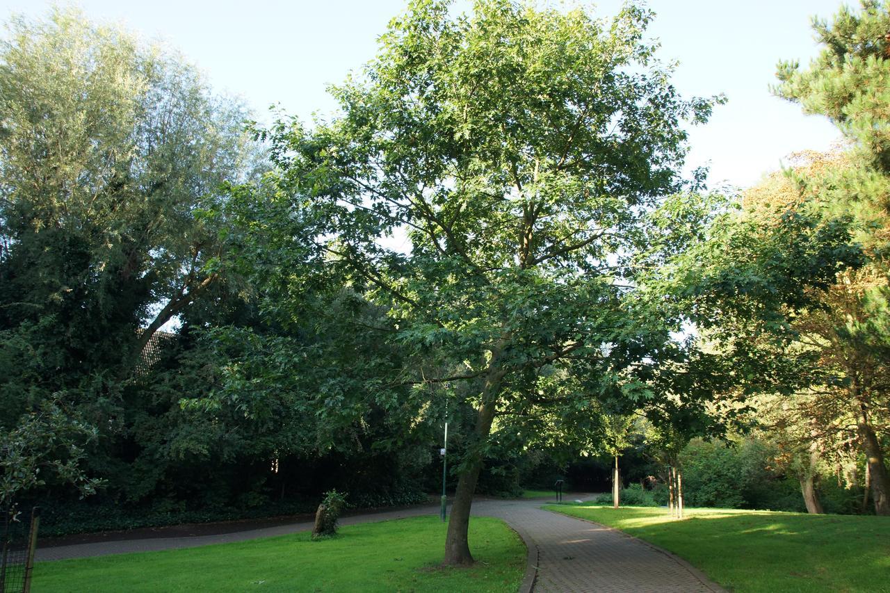 Boogaard's Londres