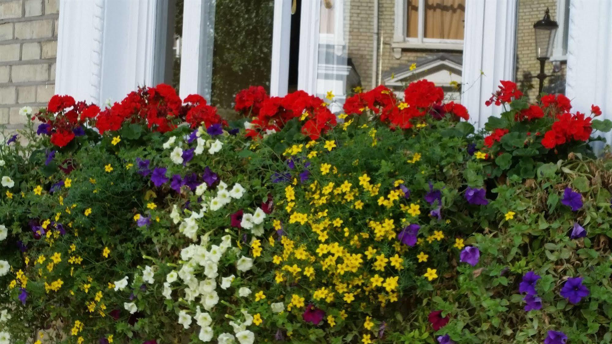 Sara Bed and breakfast Londres