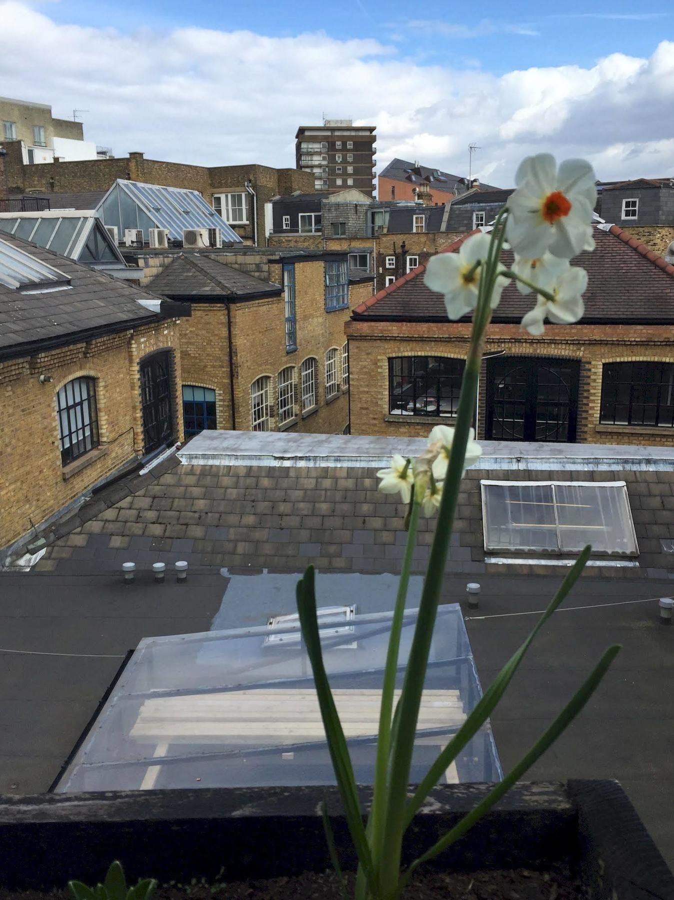 The Dictionary Hostel, Shoreditch, Albergue Londres