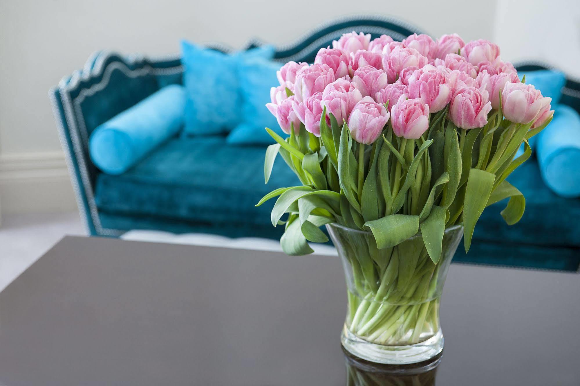 The By The Sloane Club Appartement Londen