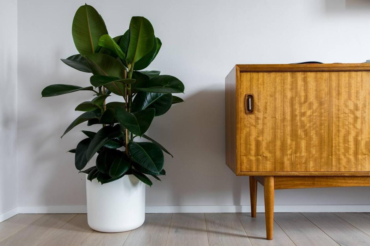 Apartamento Hausd - Clerkenwell *
