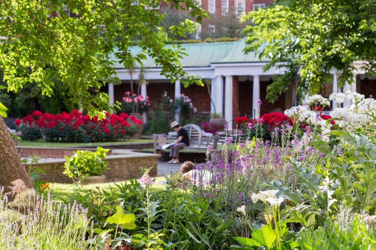 Dolphin House Serviced Hotel Londres