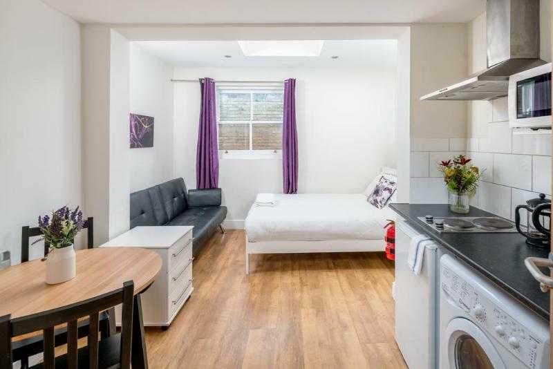 Hotel Oyo Plender Street 1 Londres