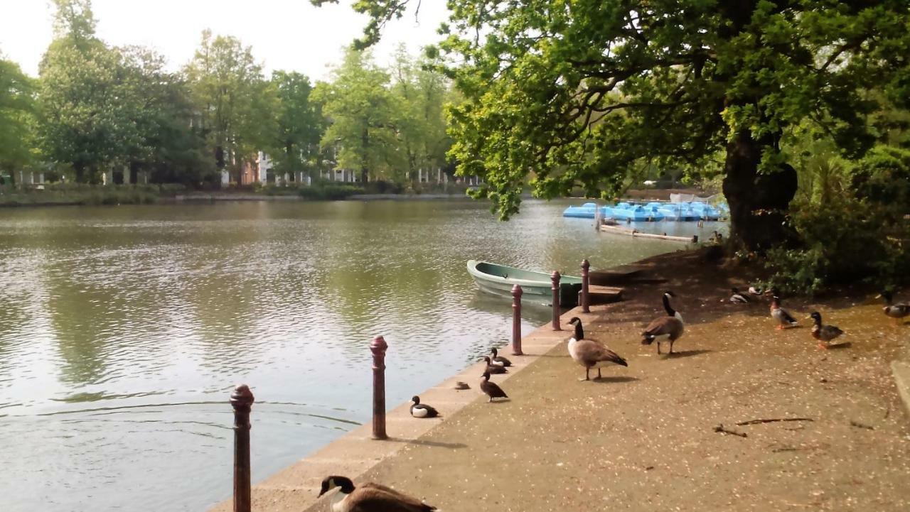 Acomodação com café da manhã  Crystal Palace