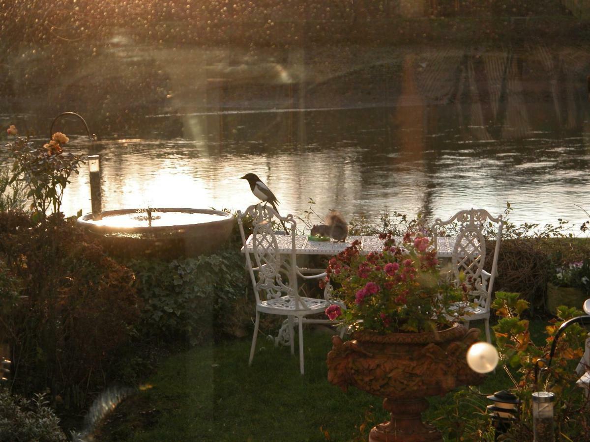 Bed and breakfast Chiswick Riviera With Free Parking *