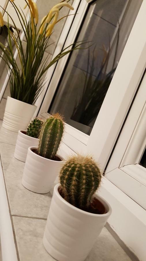 Fantastic 2 Bedroom Flat Close To King's Cross *