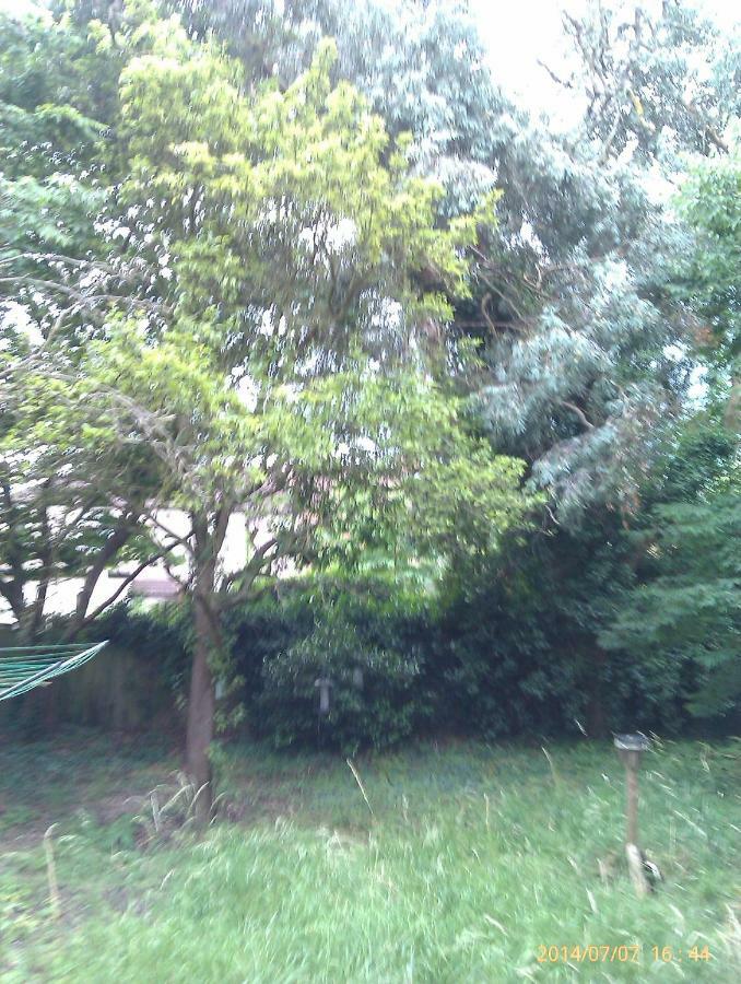 Hill Crescent Guest house London