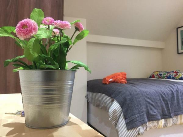 Auberge de jeunesse Accommodation London *