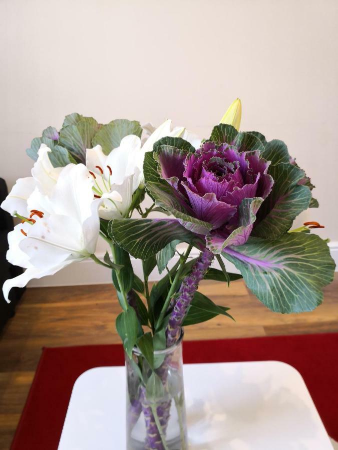 Rose 4 At Hammersmith Appartement Londres