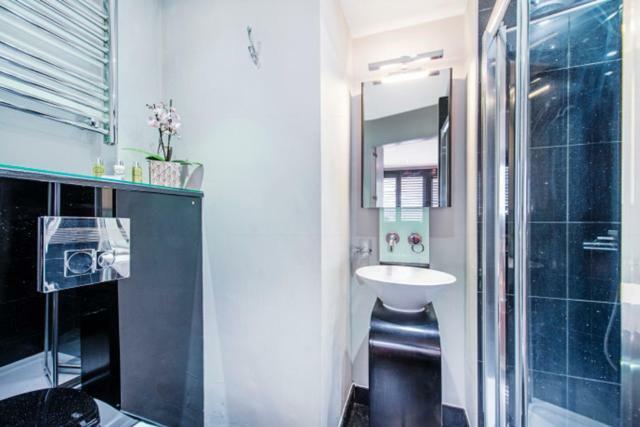 Chelsea Luxury Flat Appartement Londen