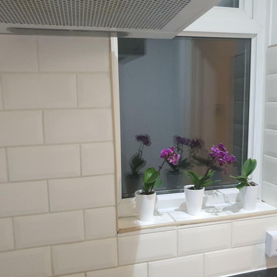 Studio66 Apartment