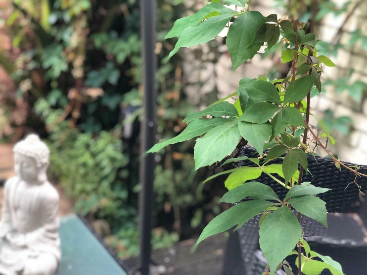 Chelsea Private Garden Maisonette Appartement Londen