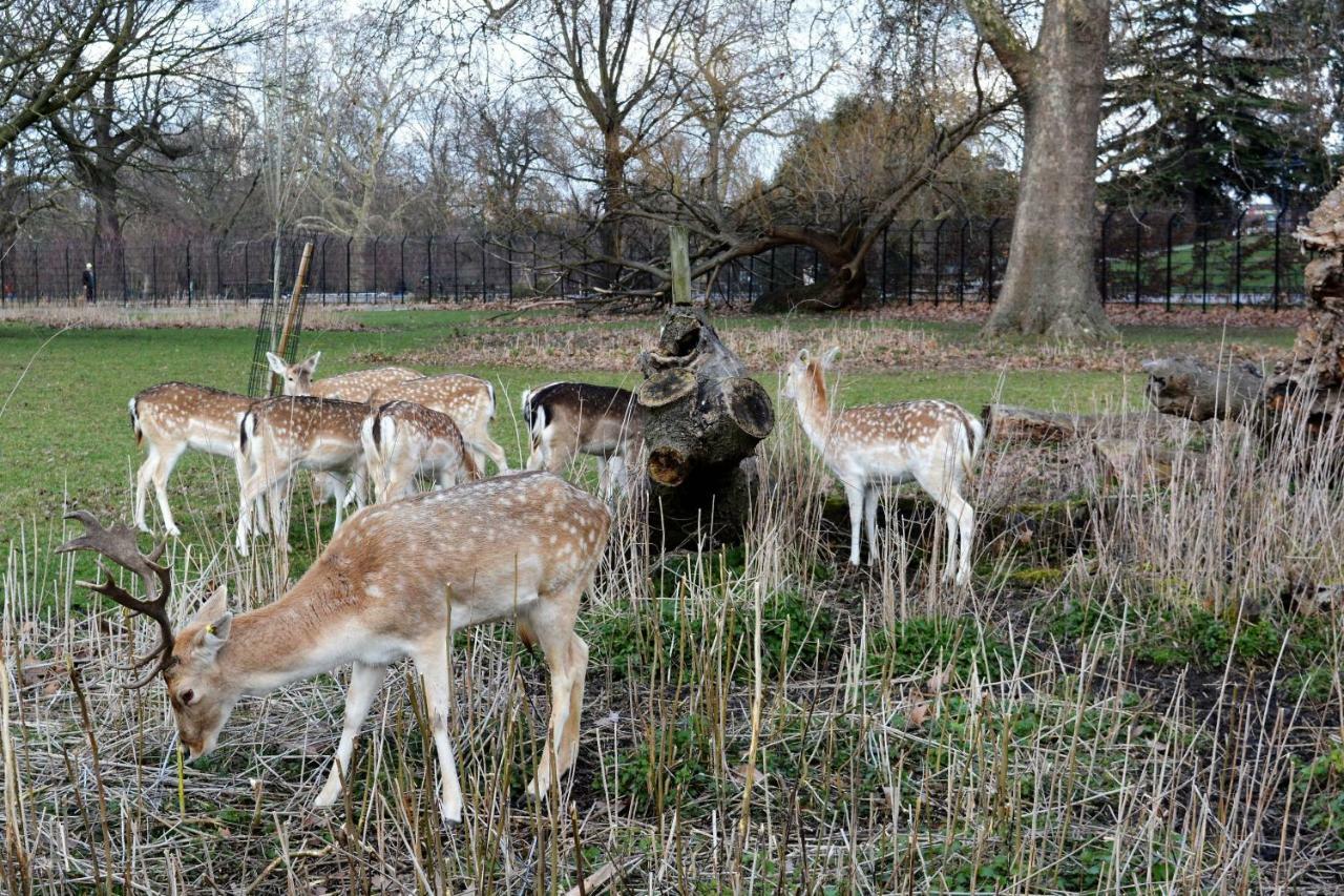 Tophome Stoke Newington