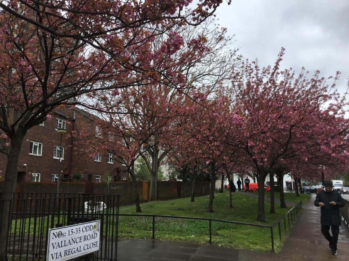 Al Iram Pensión Londres