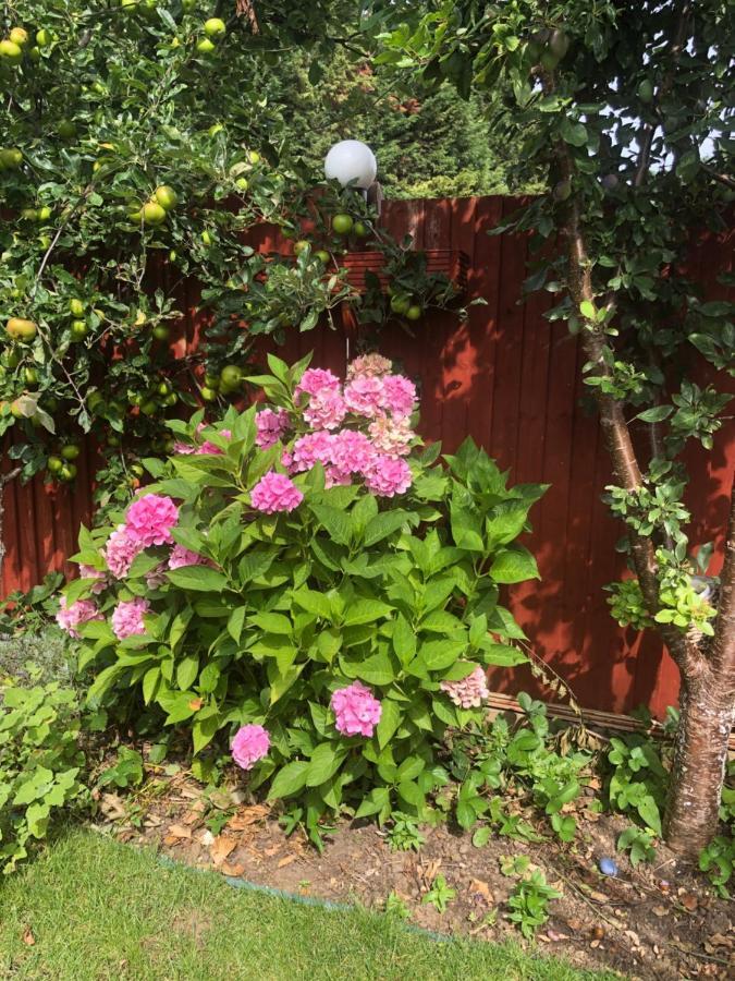Eltham Flat Londres