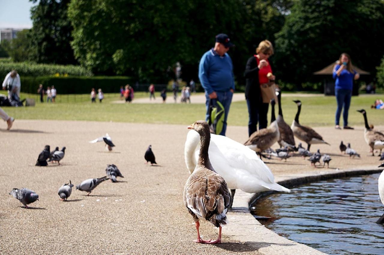 Astor Hyde Park (adults Only) * Londres