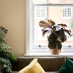 One Bedroom Apartment In Marylebone
