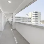 Wembley - 1 Bed