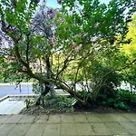 Inverness Terrace Number 4 Central London By Wild