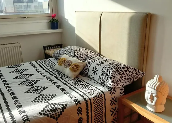 Sohocozy