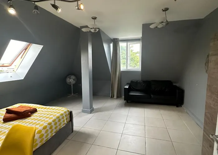 Luxury Room In Rooftop Penthouse In Central London, Shared Flat