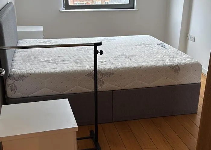 The Greenwich Comfort Nest