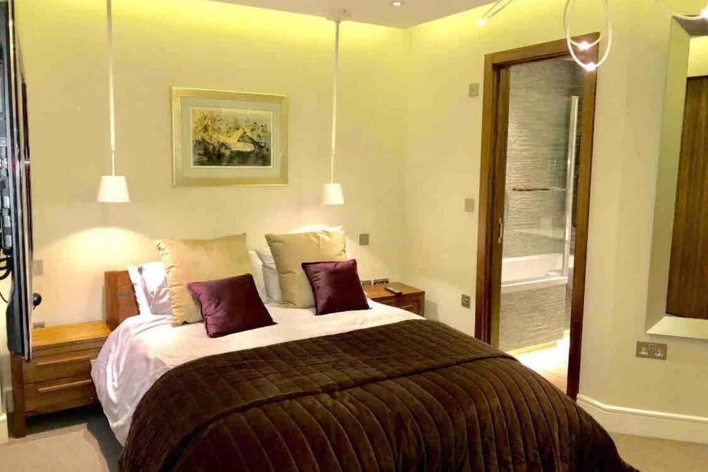 Marylebone Mayfair Hyde & Regents Park W1 Londres