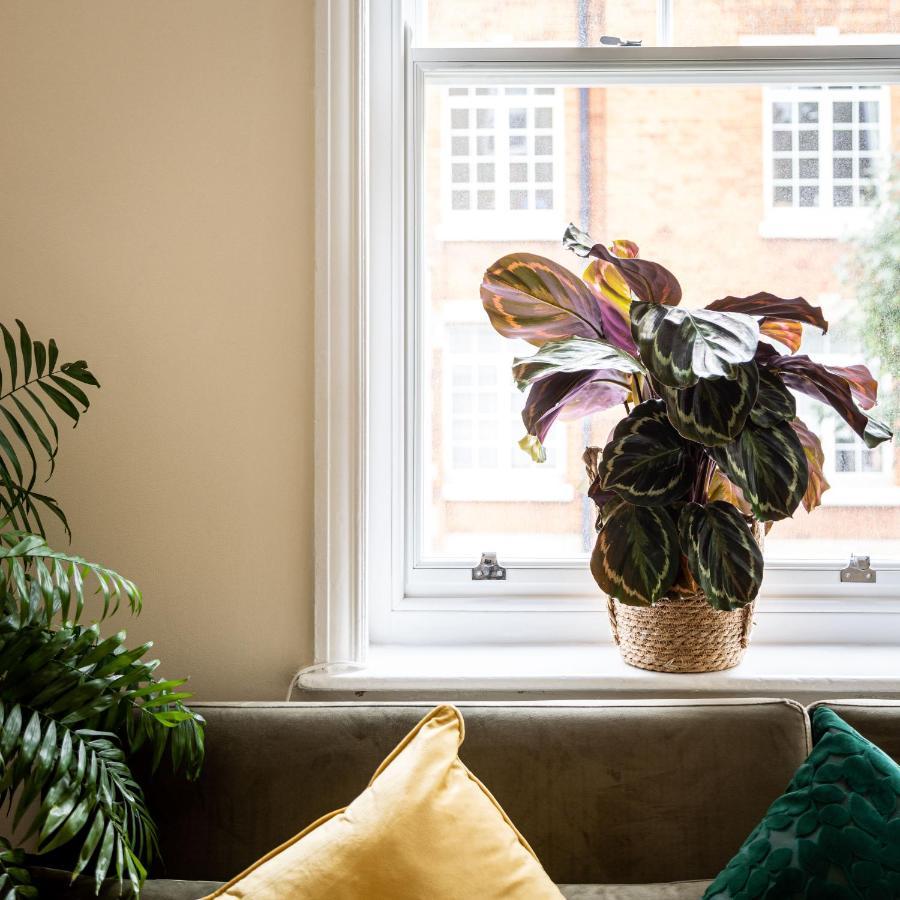 Appartement One Bedroom In Marylebone *