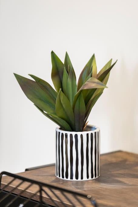 Cozy Nook: Stylish Studio, Walk To Park & Shop Apartamento *