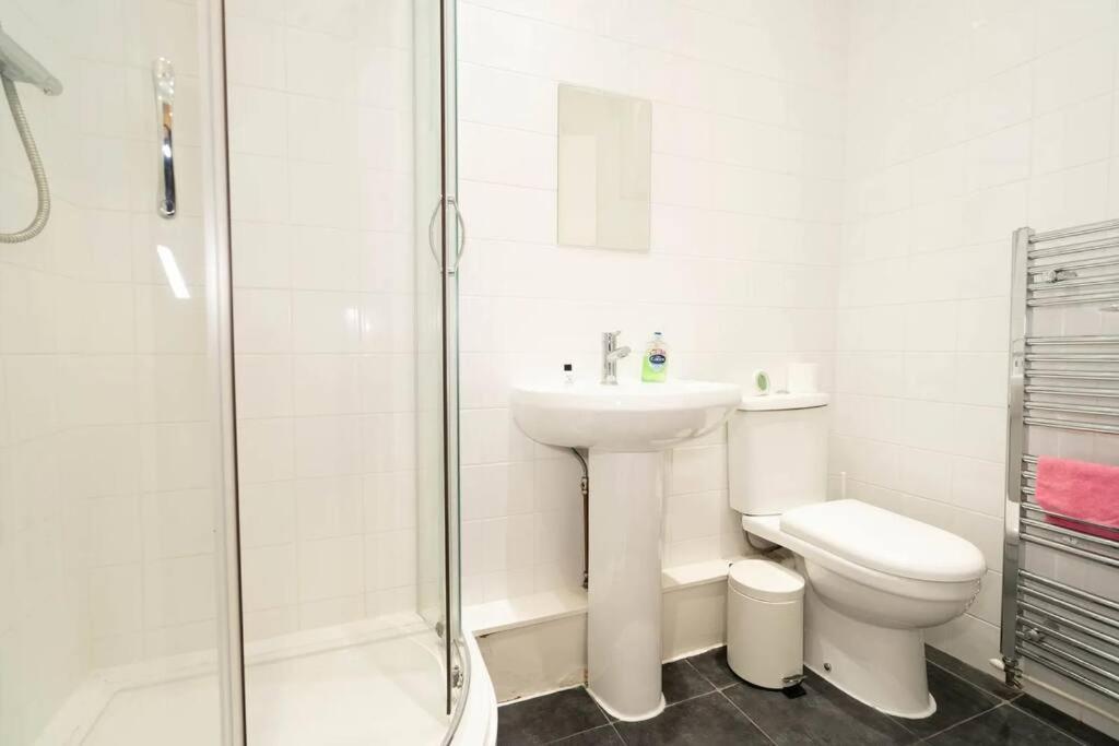Lovely Entire Flat In Kings Cross Apartment London