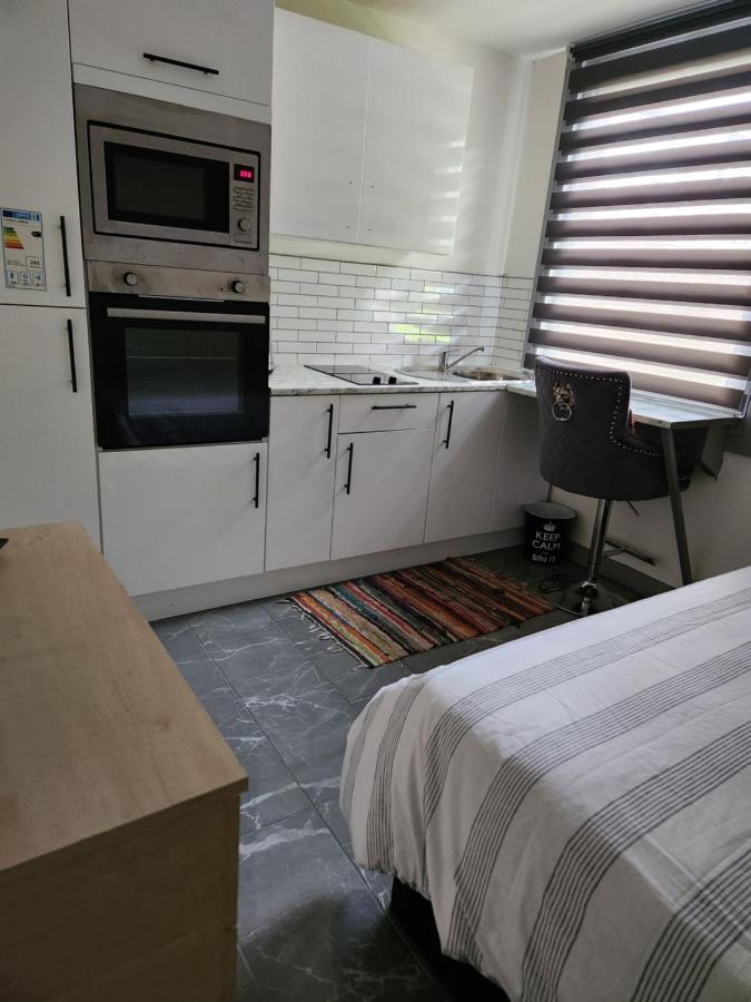 Palace Road Apartment London