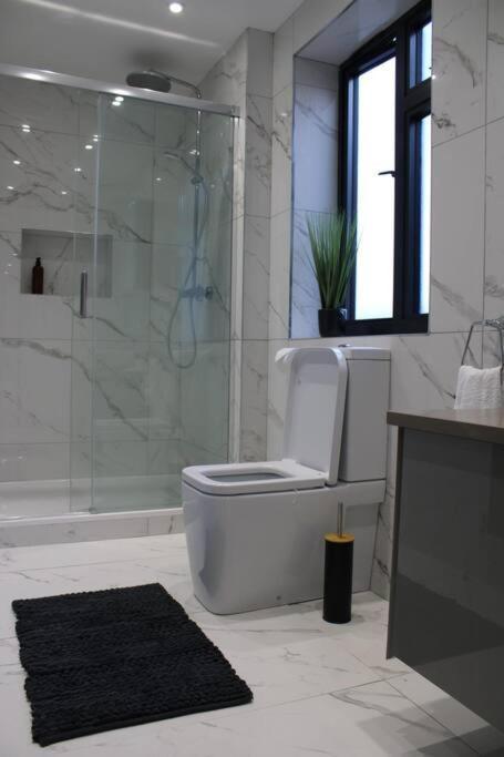 Apartment Lavish Near Wembley Stadium