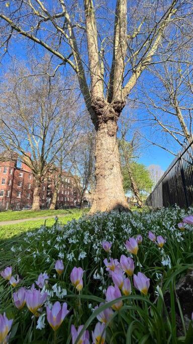Peaceful Bright City Hide Away With Parking Londen