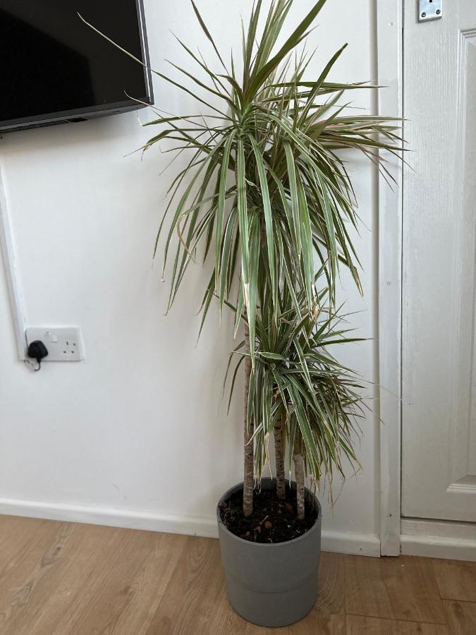 Self-contained En-suite Very Close To Wembley Stadium Guest house *