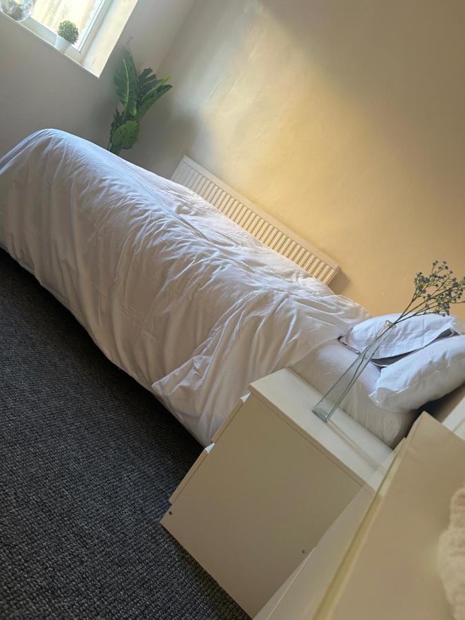 Cozy Venus Homestay